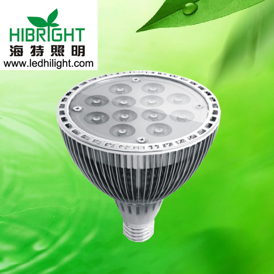 LED PAR38  12*1w spotlights