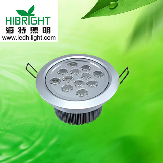 LED 12W Down light